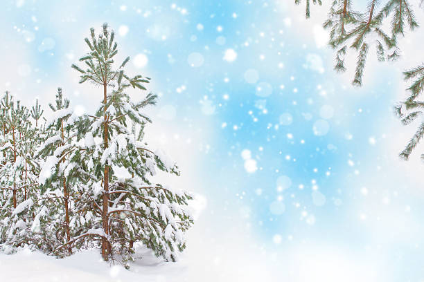 istock Landscape. Frozen winter forest with snow covered trees. 2241981374