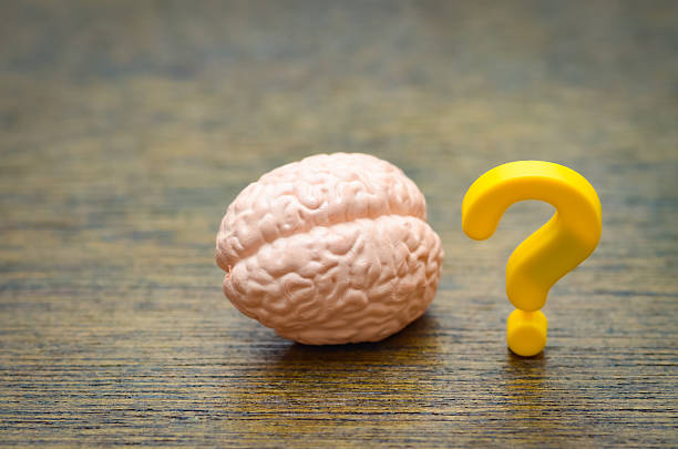 istock An anatomical model of a human brain beside a bright yellow question mark, symbolizing psychological inquiry, mental health, and the quest for knowledge. 2241982101
