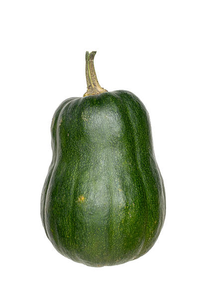 istock Fresh Green Acorn Squash Isolated on White Background for Cooking and Nutrition 2241982430