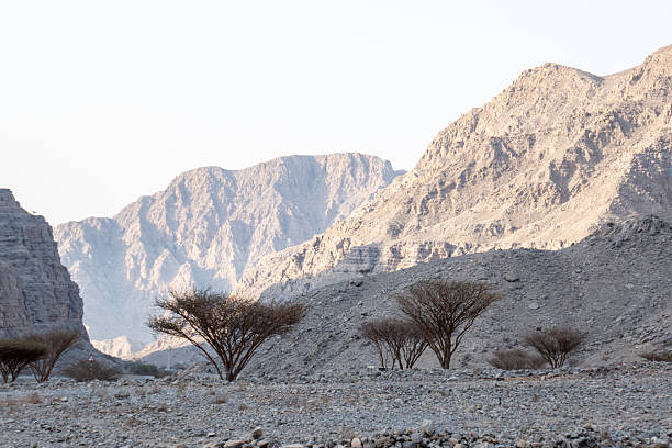 Jebel Jais is a mountain in the north-western Hadjar range. The mountain range is 100 km wide and 700 km in length.