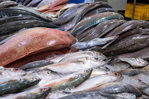 istock Waterfront market, Dubai, UAE 2241987750