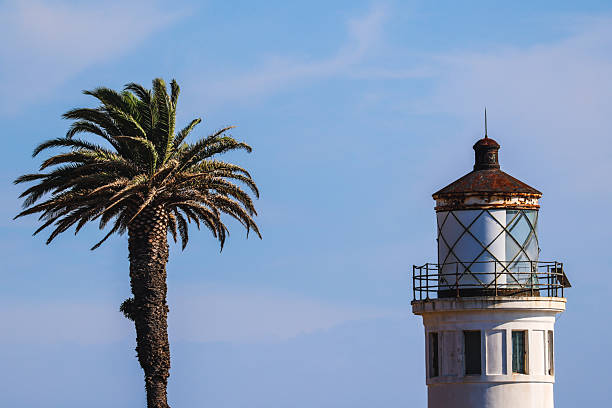 A tall palm tree stands beside an aged white lighthouse with a rusted top under a clear blue sky, capturing the charm of coastal architecture and tropical serenity.