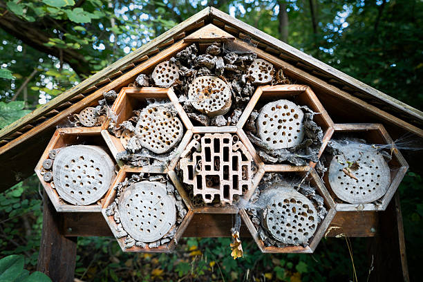 Wooden insect houses placed outdoors to support pollinators and beneficial insects. Concept of environmental conservation, sustainability, and caring for nature. Ideal for illustrating ecological awareness and green living.