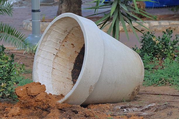 Large plastic flowerpot tipped over on soil in a garden setting. Surrounding it are green plants, including a yucca possibly from the genus *Yucca*, with some visible soil spillage. The background includes a tree trunk, paving stones, and a metal pole, indicating an outdoor urban garden environment. The pot is light-colored with visible dirt stains inside.