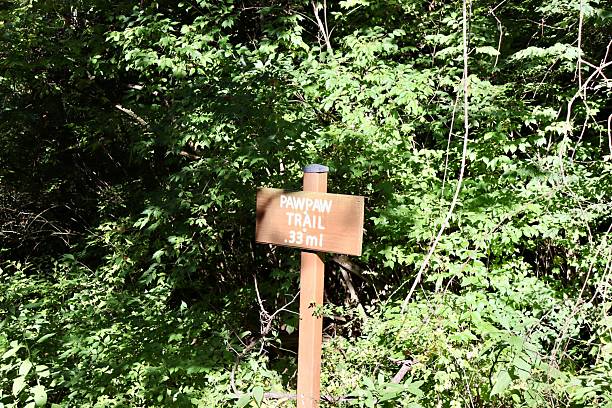 istock Old Wood Trail Sign 2241992933