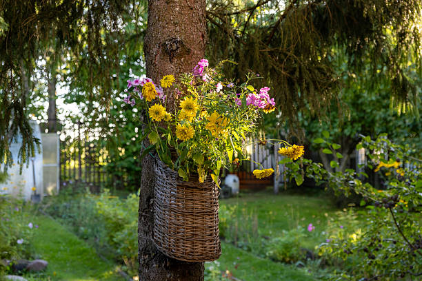Wild flowers in a wicker basket on a tree in the garden