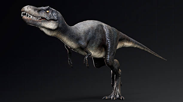 istock Juvenile Tyrannosaurus Rex of background. 3d model rendering 2241996035
