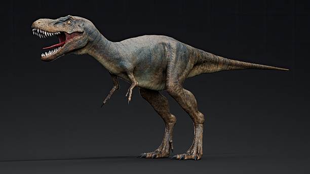 istock Juvenile Tyrannosaurus Rex of background. 3d model rendering 2241996039