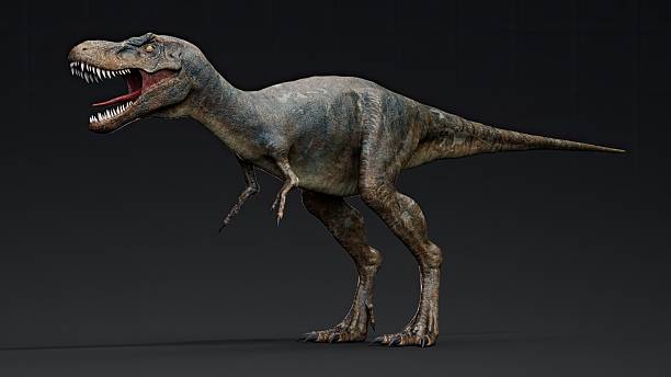 istock Juvenile Tyrannosaurus Rex of background. 3d model rendering 2241996042