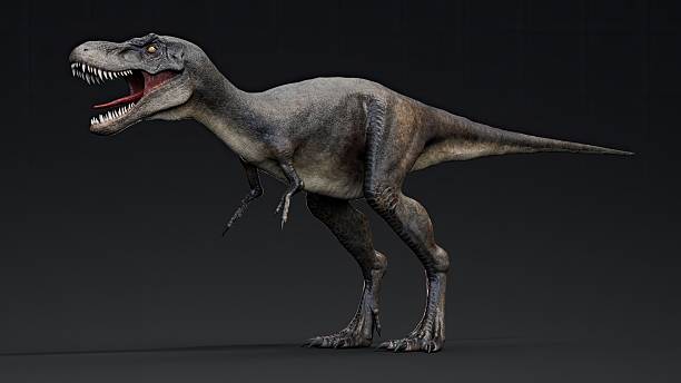 istock Juvenile Tyrannosaurus Rex of background. 3d model rendering 2241996043