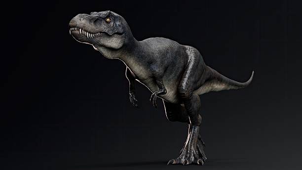 Juvenile Tyrannosaurus Rex of background. 3d model rendering