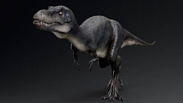 istock Juvenile Tyrannosaurus Rex of background. 3d model rendering 2241996626