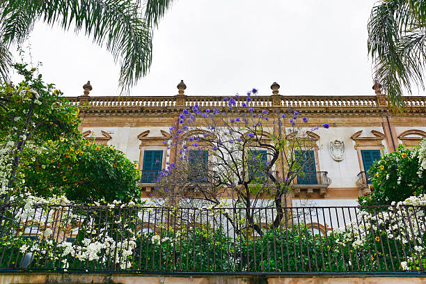 A garden on Mure delle Cattive in Palermo, Italy. An elevated promenade atop 16th century city walls. The vegetation showcases Mediterranean plants adapted to Sicily's arid climate. White flowering Bougainvillea & Yellow Allamanda, perennial evergreen vines. Canary Island date palms at the sides, evergreen perennials. Centre is a purple flowering deciduous Jacaranda. Background: 17th century Palazzo Butera with ornate Baroque architecture