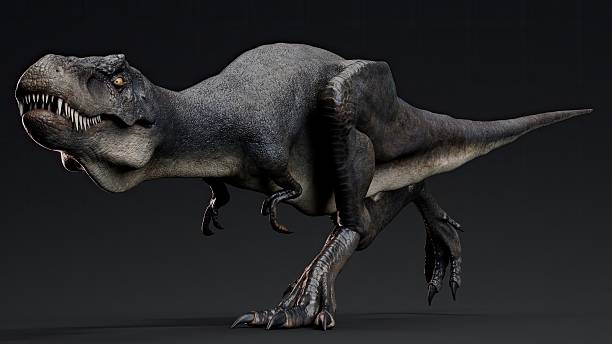 Juvenile Tyrannosaurus Rex of background. 3d model rendering