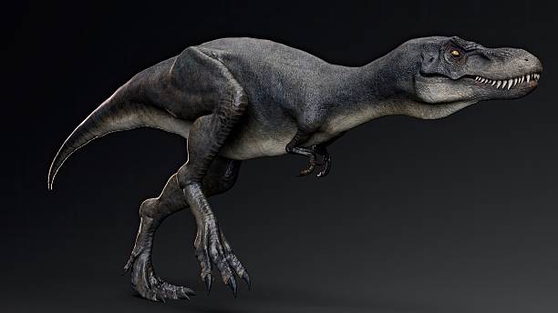 istock Juvenile Tyrannosaurus Rex of background. 3d model rendering 2241997098