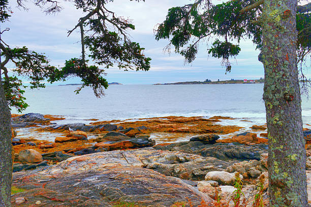 istock Rocky Maine Coast-Booth Bay, Maine 2241997397