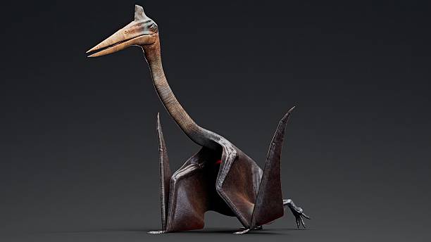 istock Quetzalcoatlus of background. 3d model rendering 2241998215