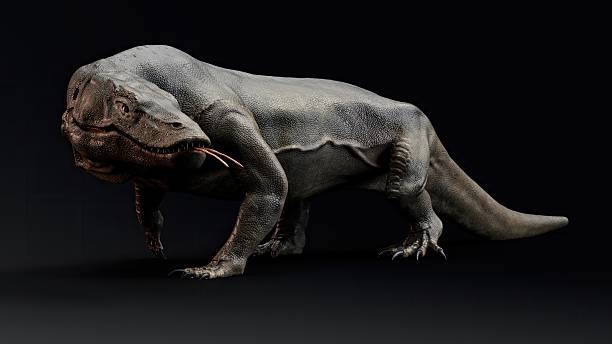 istock Megalania of background. 3d model rendering 2241998433