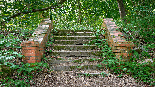 istock Abandoned dilapidated stairs in the forest 2241998587