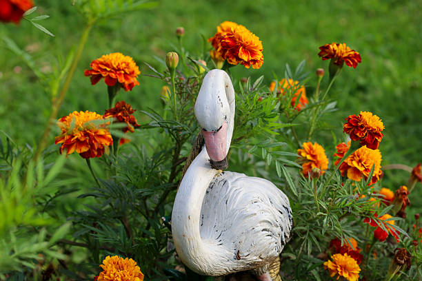 A decorative white swan garden figurine is harmoniously placed among bright orange and red marigold flowers and lush green grass. The figurine, with its gracefully bent neck, creates an attractive focal point,