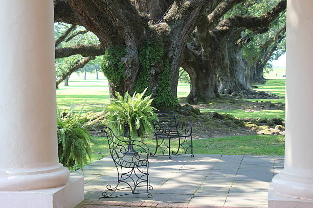 Louisiana, USA. Taken May 26 2012. Landscape around Plantations in New Orleans. Outdoors scenes around different Plantation areas in Louisiana. Part of the creole heritage of New Orleans.