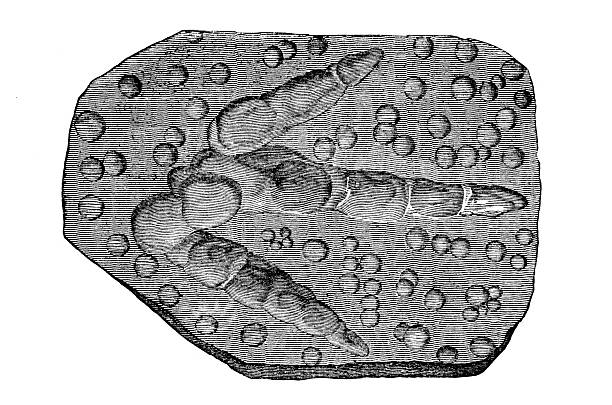 Track print of Brontozoum (Ornitichnites) giganteum and so-called fossil raindrops (impressions of air bubbles).