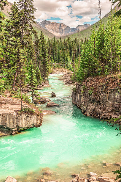 The Rocky Mountains in British Columbia and Alberta during the summer