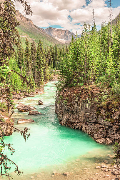 istock Bright blue color of Tokumm Creek 2242007127