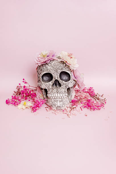 istock Frontal image of a skull with a decorated surface surrounded by dried flowers on a soft pink surface posing for photo 2242008748