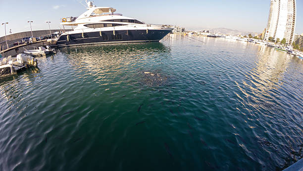 A luxury yacht docked in a marina with clear blue water and fish swimming.