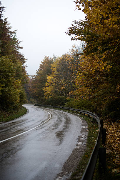 istock Road in the autumn forest in rain 2242019423