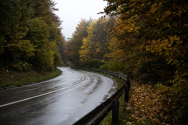 istock Road in the autumn forest in rain 2242019424