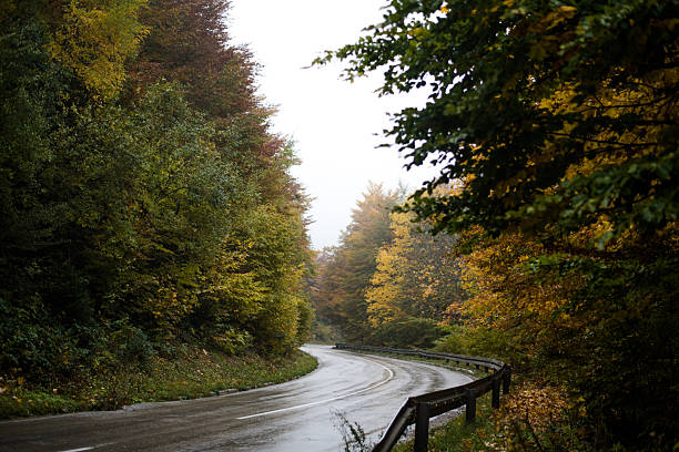 Autumn Scenic Mountain Road on a Rainy Day
