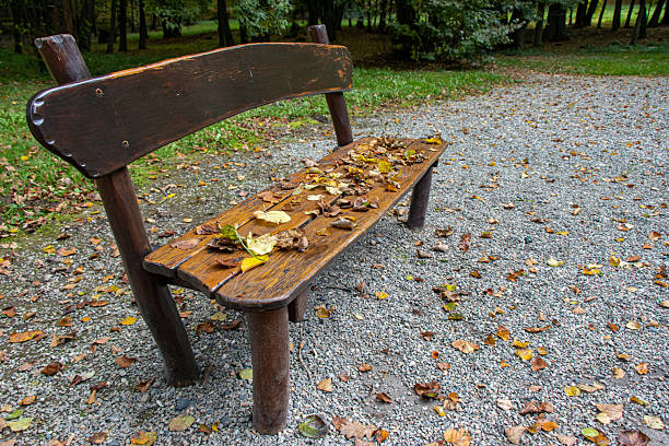 A bench in the autumn park covered with fallen leaves