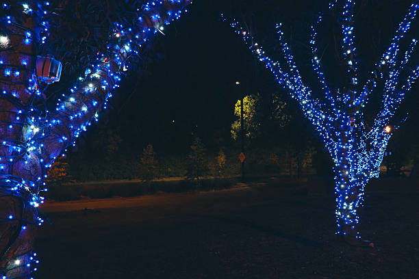 istock Blue holiday lights on trees in park at night 2242020482