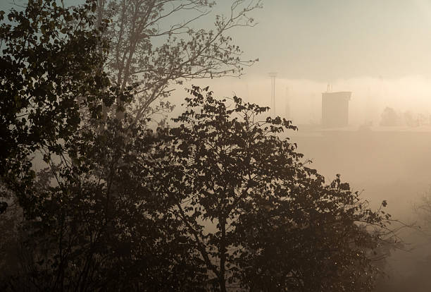 Atmospheric scene of a fog-covered landscape blending natural and urban elements. Silhouettes of trees dominate the foreground, while a partially obscured tower and faint outlines of cranes or antennae emerge through the mist in the background. The soft, diffused light enhances the sense of mystery and depth, making this image ideal for themes of urbanization, environmental contrast, solitude, or cinematic storytelling.