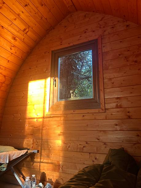 istock Cozy Cabin Interior With Wood Walls, Window, Natural Sun Light And Bedside View 2242024111