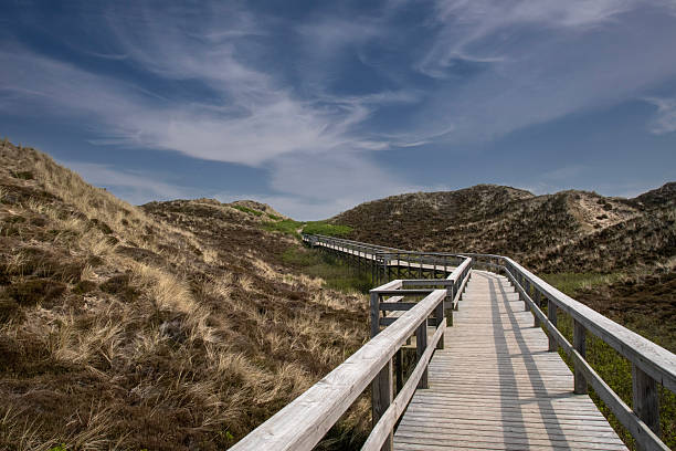 Landscape photography