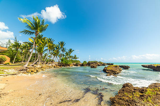 istock Small cove on a sunny day in Guadeloupe 2242029581
