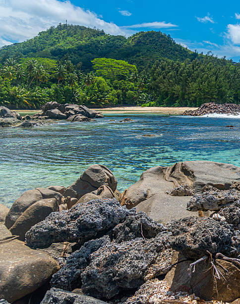 istock Rocks by the water in a tropical beach 2242029635