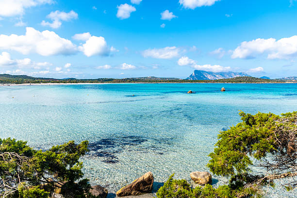 istock Green plants and turquoise water in Lu Impostu beach 2242033593