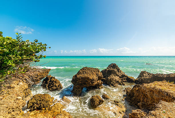 Rocks and clear water in the Caribbean. Guadeloupe, West Indies