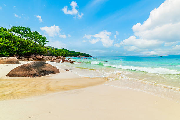 istock White sand and rocks in a tropical beach on a sunny day 2242034994