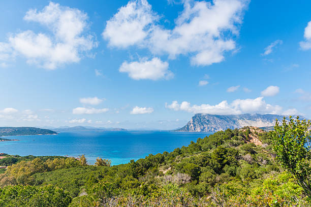 istock Capo Coda Cavallo shore under a blue sky with clouds 2242035719