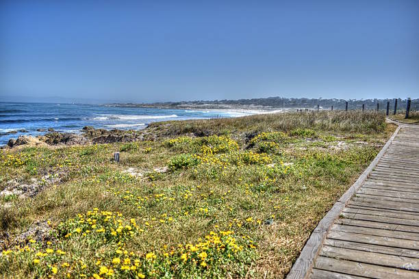 istock Beach Boardwalk The Links at Spanish Bay Pebble Beach California 2242043857