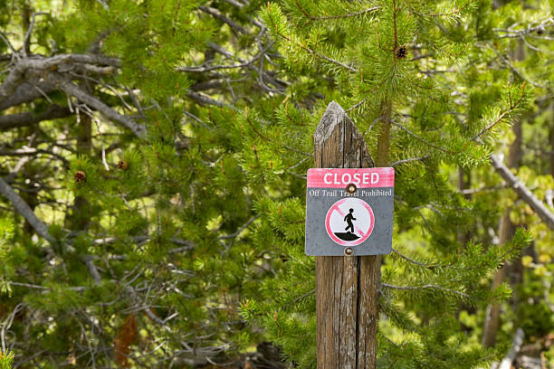 istock Warning sign forbidding visitors from walking off a trail in a forest 2242044993