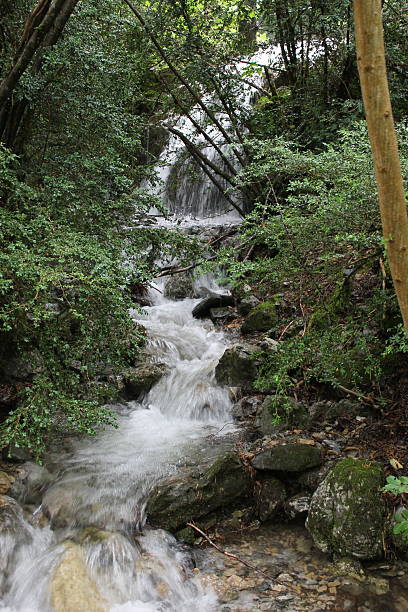 istock 2024 - Canfranc Station Natural Area - Pyrenees 2242047678