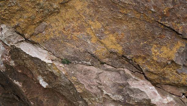 A detail shot of a weathered rock face dominated by a mix of yellow, gold, and dark brown mineral staining, creating a vibrant, earthy texture.