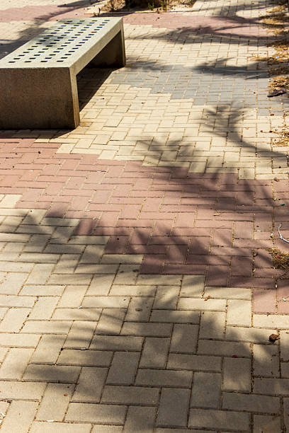 Close-up view of a patterned sidewalk showing shadows of nearby plants on different colored paving stones, creating a dynamic interplay of light and texture.