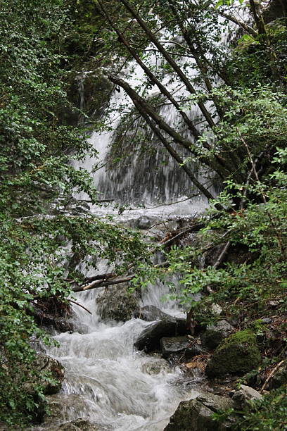 istock 2024 - Canfranc Station Natural Area - Pyrenees 2242052265